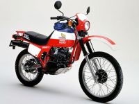 XL250R Paris DakarXL250Rѥ