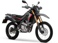 CRF300L