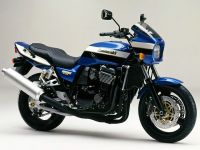 ZRX1100