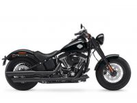 FLSS Softail Slim SFLSS եƥ륹S