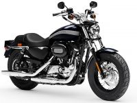 Sportster XL1200C Customåݡĥ XL1200C 