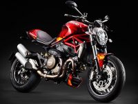 Monster 1200 Monster Hunter Versionå󥹥1200󥹥ϥ󥿡С