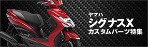 シグナスX
