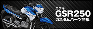 GSR250