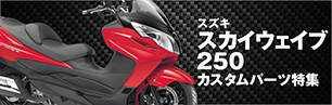 スカイウェイブ250