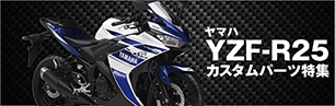 YZF-R25