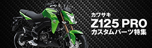 Z125PRO