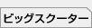 �r�b�O�X�N�[�^�[