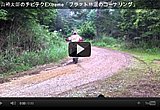 内山裕太郎のチビテクEXtreme「フラット林道のコーナーは逆バンクのように曲がる」