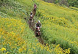 全国の猛者たちが集まる 2009 日高2DAYSエンデューロ