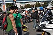 展示即売会は、友達や仲間と来場するという形が多く見られました。