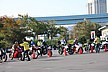 ずらりと試乗車が並ぶと壮観ですね。お気に入りはみつかったでしょうか。