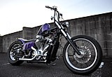 VIDA MOTORCYCLE / HONDA STEED
