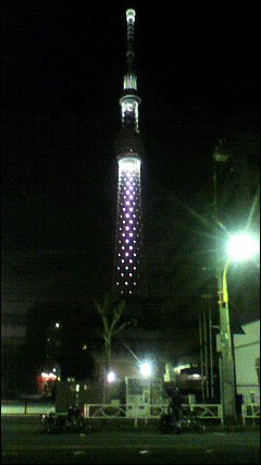 関係ないけどスカイツリーがよく見える、まだ滅多に周りに人が居ない秘密？　絶景ポイント。しかし「東京タワーと違って色気ない形状だなぁ……」なんて思うのは僕が東京タワーと同い年だから??