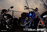 ハーレーダビッドソン 2008 VRSCDX & 2008 FXCWC
