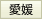愛媛