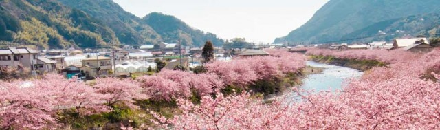 モトラッド八千代さんが投稿したバイクライフ