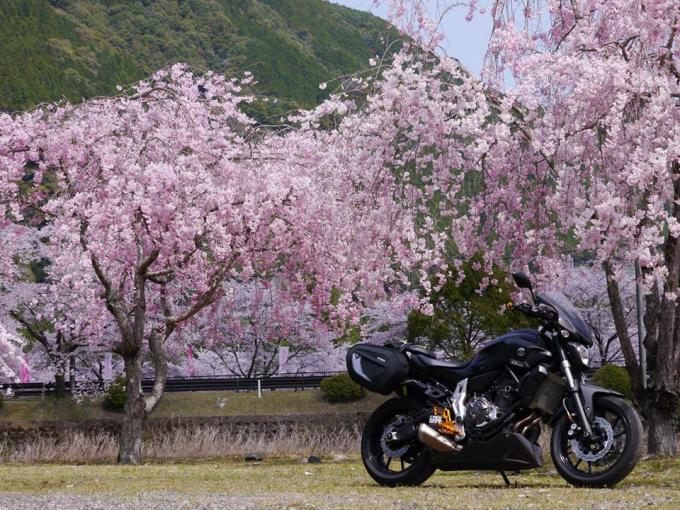 （株）EIGHT（才谷屋ファクトリー、HEART）さんが投稿したバイクライフ