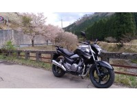 スズキ Suzuki Gsr250のオーナーレビュー 評価 バイクのことならバイクブロス スズキ Suzuki Gsr250のオーナーレビュー 評価 バイクのことならバイクブロス