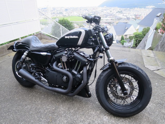 xl1200x 48スポーツスター タンク 3.3ガロン | gkcsu.org