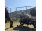 ζ</a>����