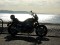 Drider