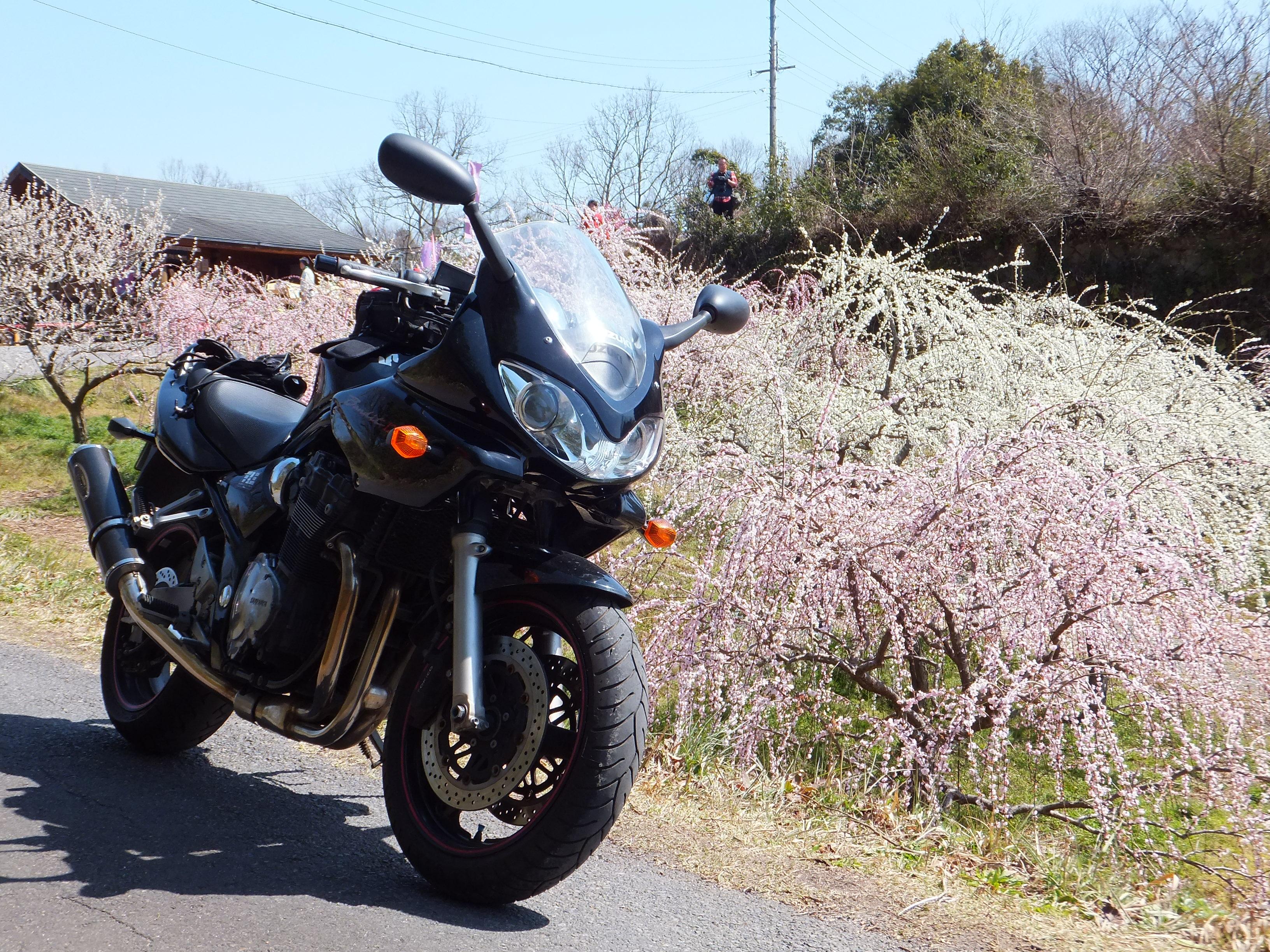 バイクブロスコミュニティ