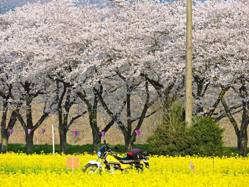 バイクブロスコミュニティ