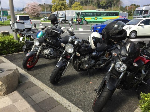 ぴくるすさんが投稿したツーリング情報