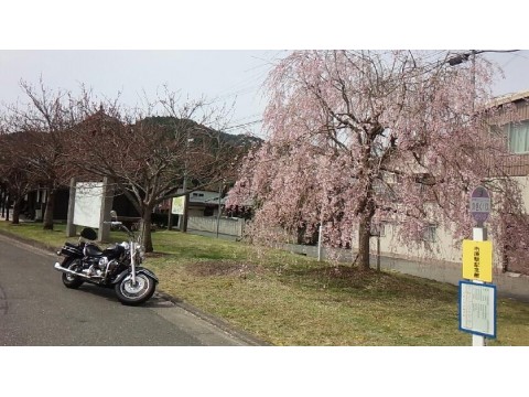 ツジさんが投稿したツーリング情報
