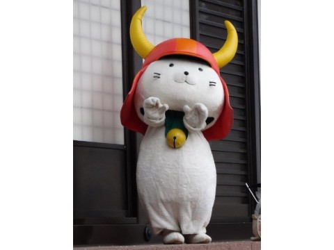 よっちゃんさんが投稿したツーリング情報