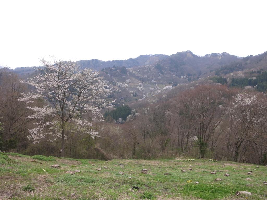 バイクブロスコミュニティ