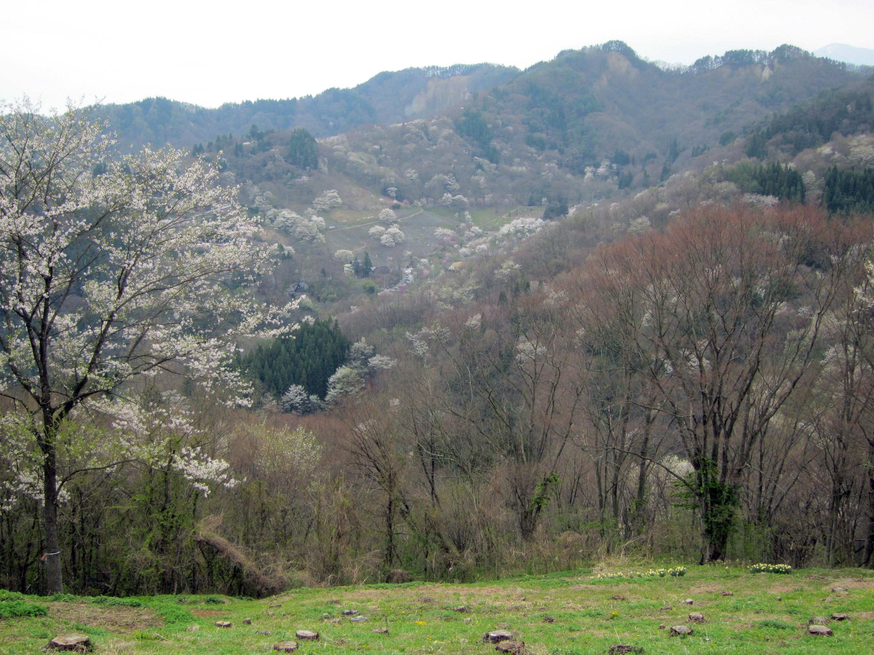 バイクブロスコミュニティ