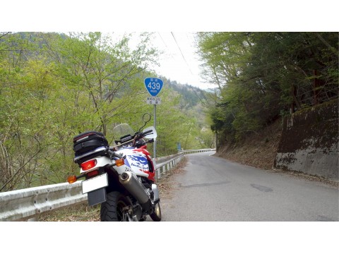 あふりかさんが投稿したツーリング情報
