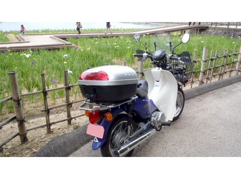 あふりかさんが投稿したツーリング情報