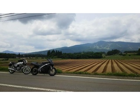 すみれっこラブさんが投稿したツーリング情報
