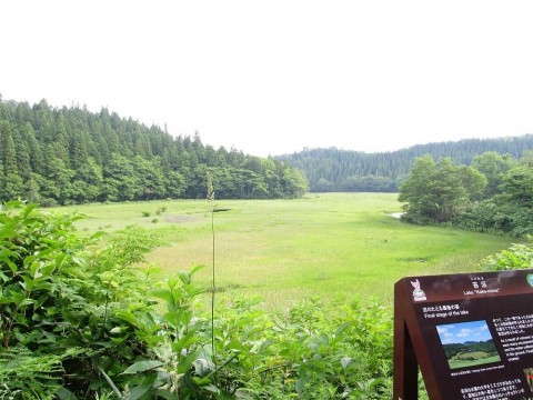 しばえむさんが投稿したツーリング情報