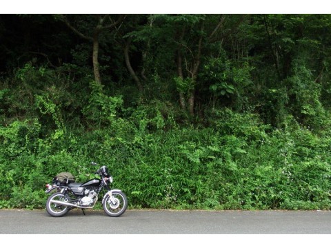 ｔｅｎｒａ７７さんが投稿したツーリング情報