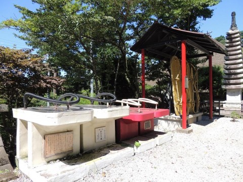 しばえむさんが投稿したツーリング情報