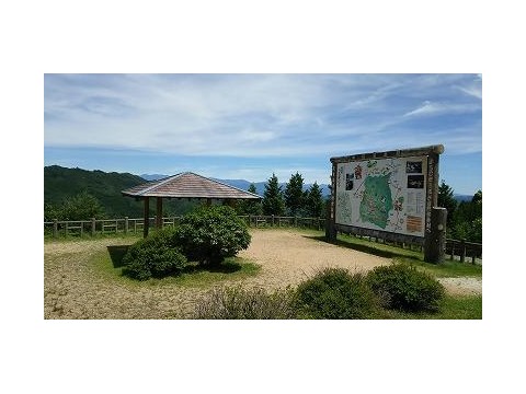 すみれっこラブさんが投稿したツーリング情報