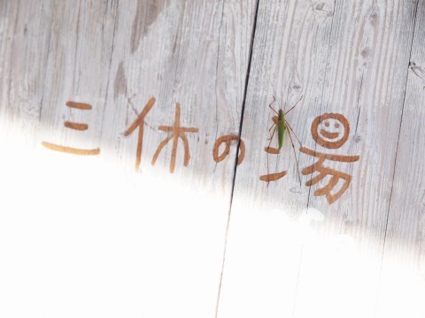 しいのいいのさんが投稿したツーリング情報