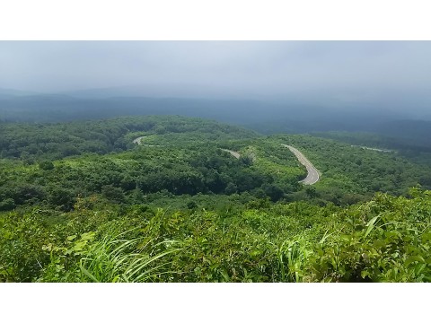 ｍ２さんが投稿したツーリング情報