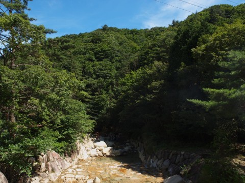 しいのいいのさんが投稿したツーリング情報