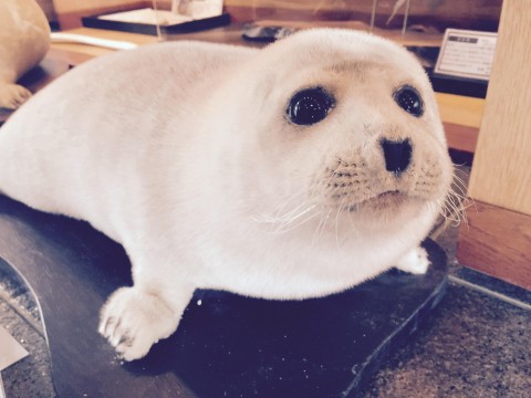 ちょっとっつ猛進さんが投稿したツーリング情報