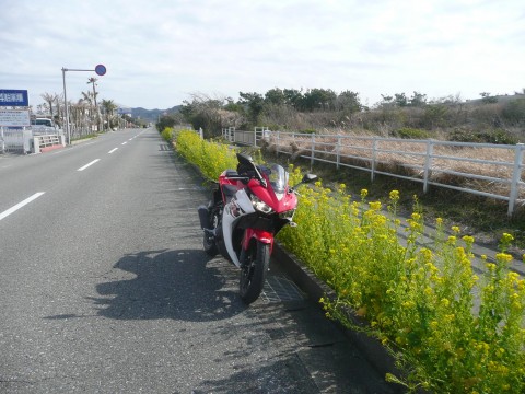 いくさんが投稿したツーリング情報