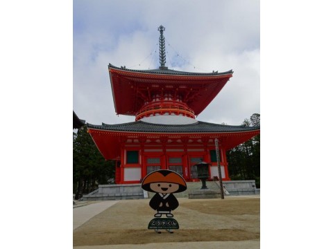 よっちゃんさんが投稿したツーリング情報