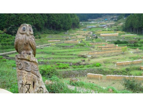 蔵さんが投稿したツーリング情報