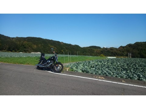 ｕｎｃｌｅ　Ｂｏｂさんが投稿したツーリング情報