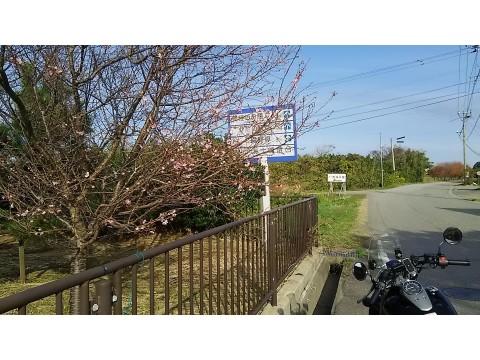 ｍ２さんが投稿したツーリング情報