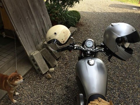 さんぞくま（禿）さんが投稿したツーリング情報